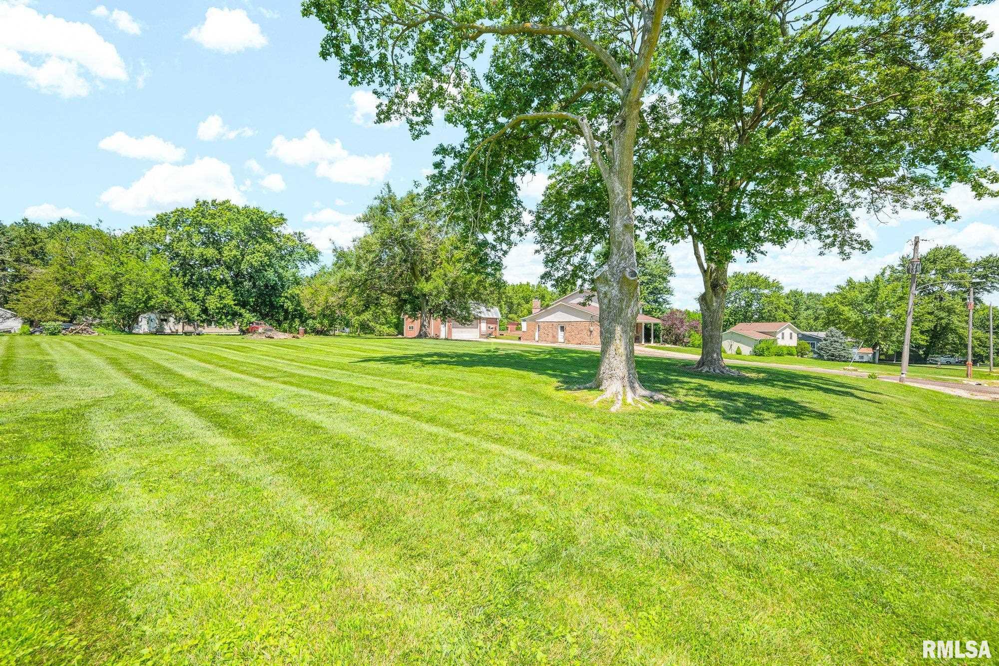 308 North Main Street Henderson, IL 61439 - Photo 7 of 43