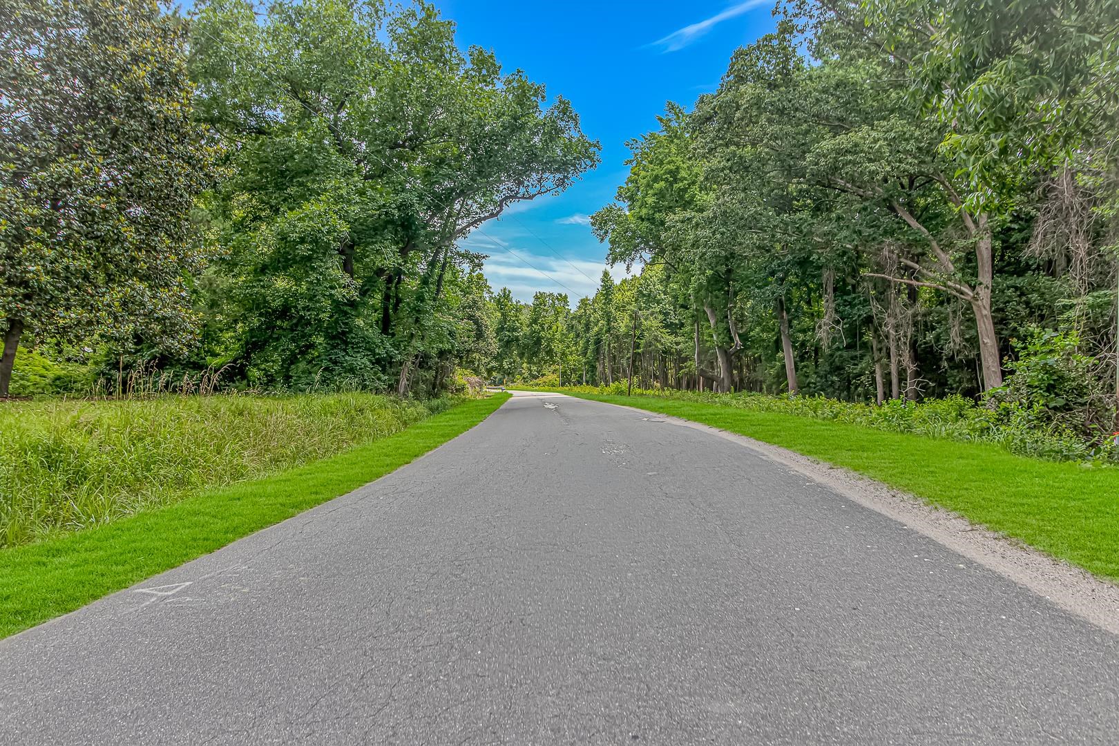 0 Millers Road Mullins, SC 29574 - Photo 5 of 16