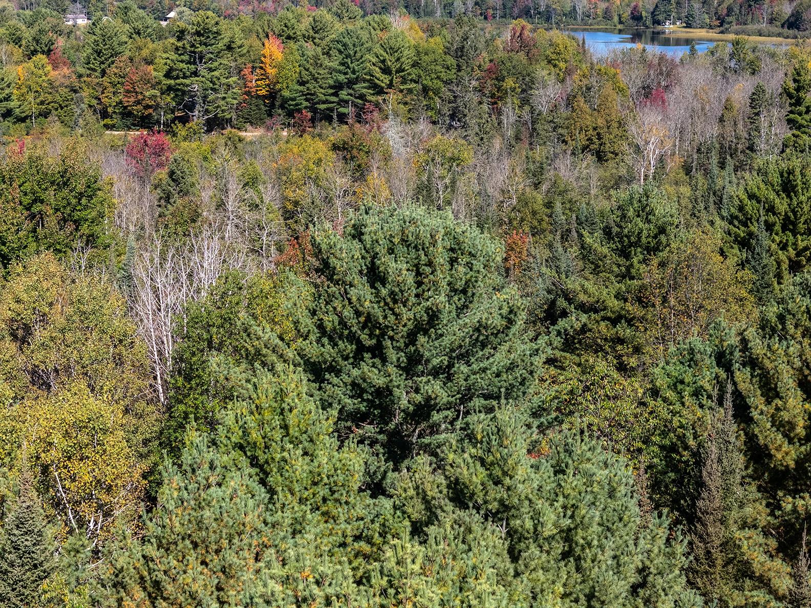 3922 Tre Fiske Road Rhinelander, WI 54501 - Photo 30 of 38 Gallery Image 30