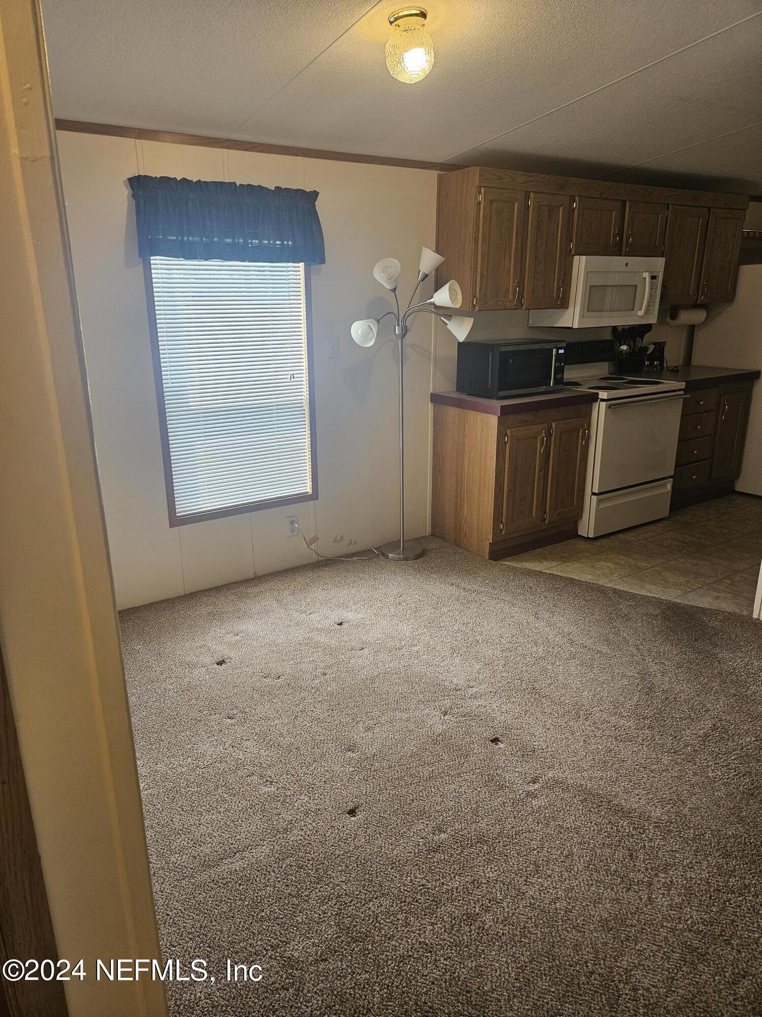 6752 Spring Lake Road Keystone Heights, FL 32656 - Photo 7 of 19 20240905_142700