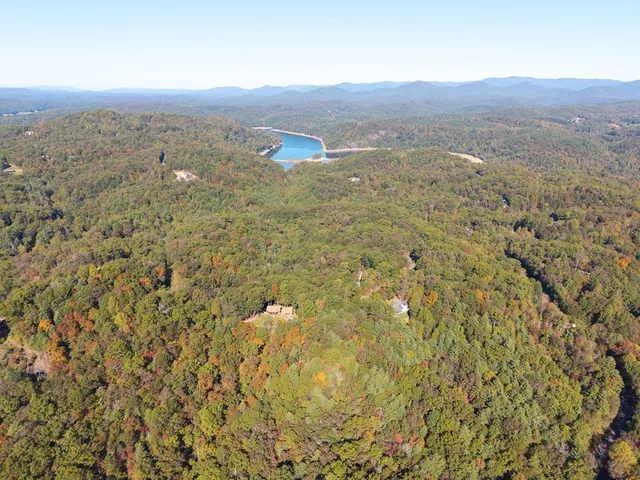 a view of a field with an ocean