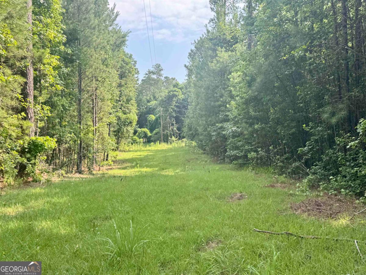 0 Springfield / Turner Road Union Point, GA 30669 - Photo 28 of 34