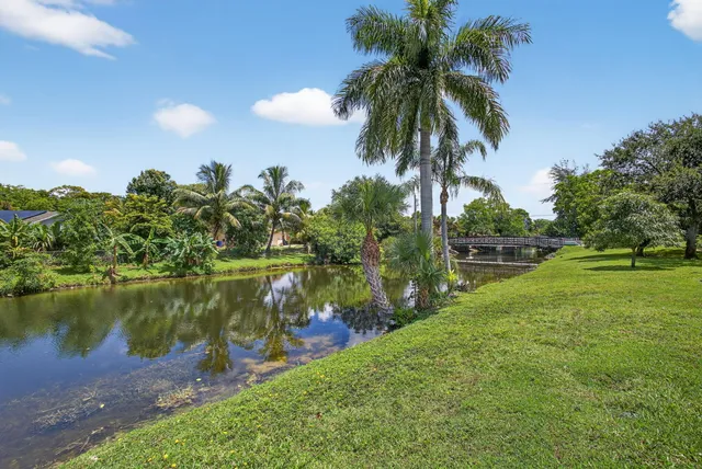 a view of a house with potted plants and a large tree