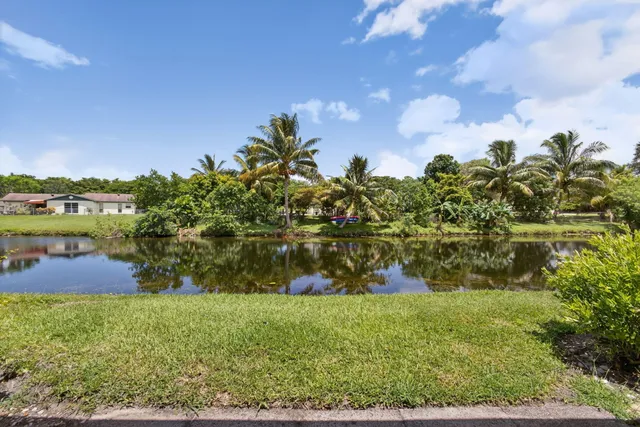 a view of a yard with a fountain