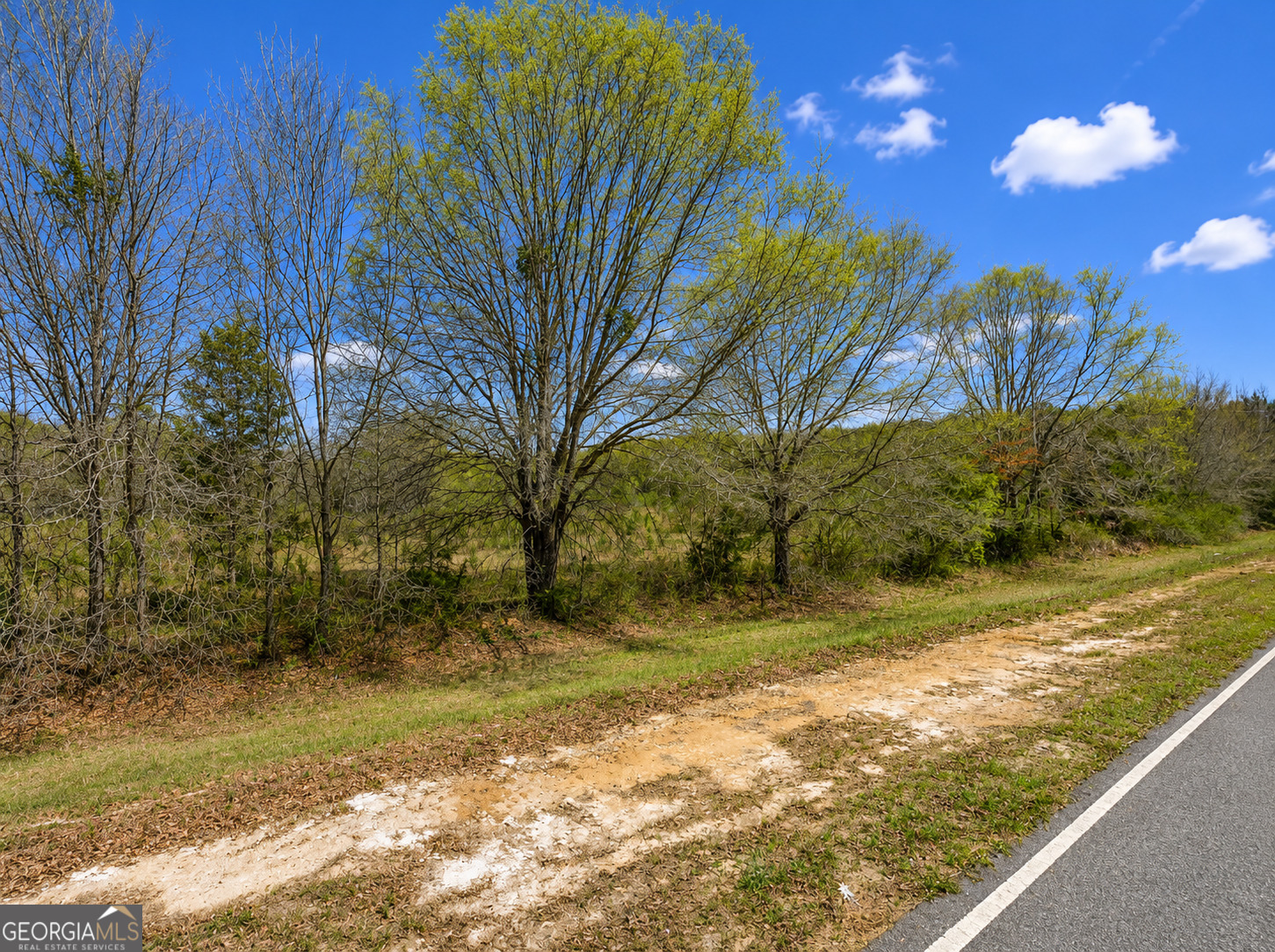 25.69-acres Gaissert Road Albany, GA 31705 - Photo 9 of 9