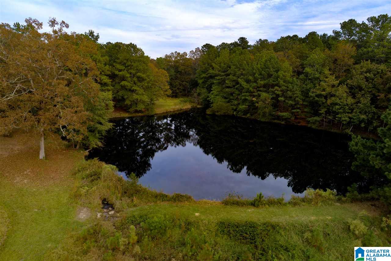 Serene Lake Road, Unit 8471 McCalla, AL 35111 - Photo 15 of 30