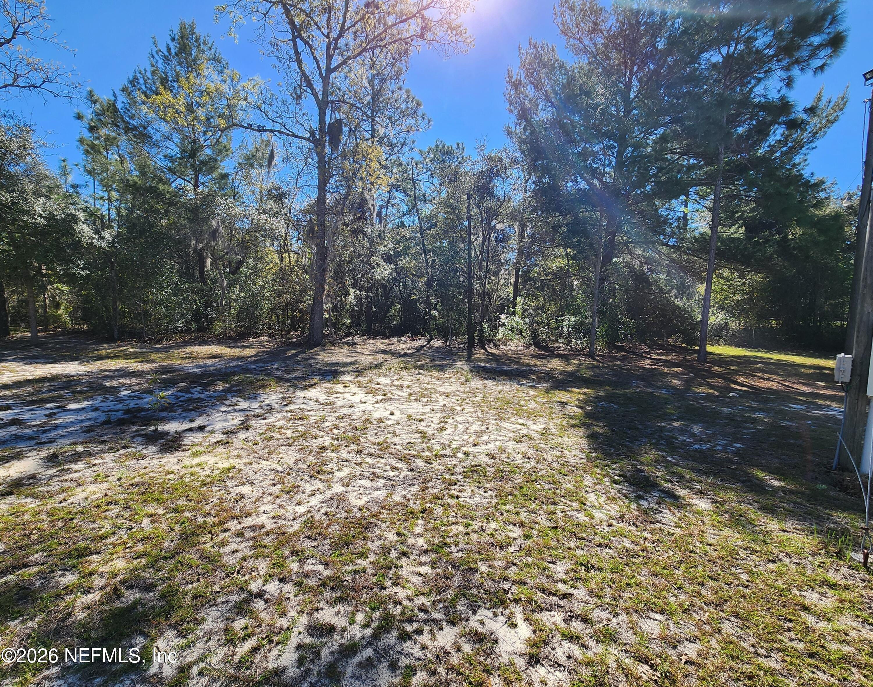 6863 Deer Springs Road Keystone Heights, FL 32656 - Photo 7 of 20 a view of a yard with trees