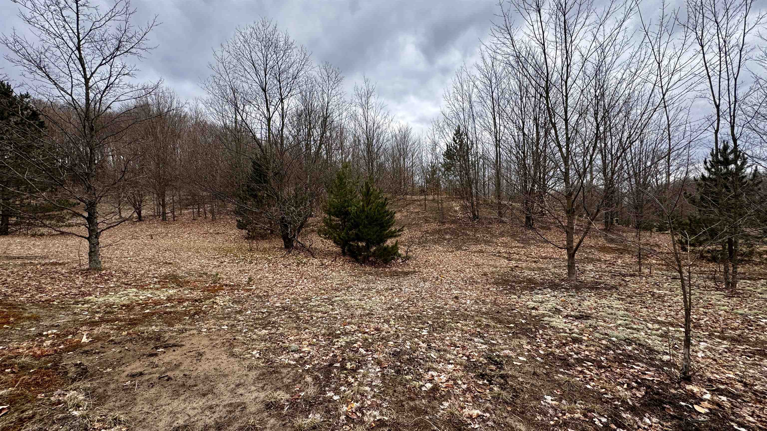12854 Litzen Road Copemish, MI 49625 - Photo 29 of 32 1920838-ad6388b1-a810-4261-8c4f-3437cfe4e03b.JPG