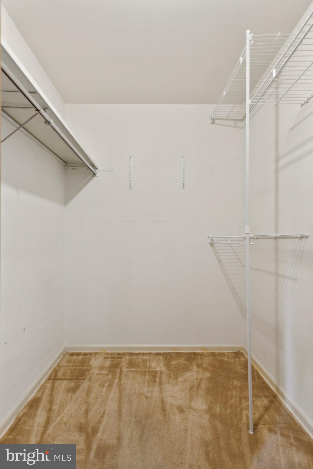 309 East Fiedler Road Ambler, PA 19002 - Photo 28 of 52 Primary Walk-in Closet