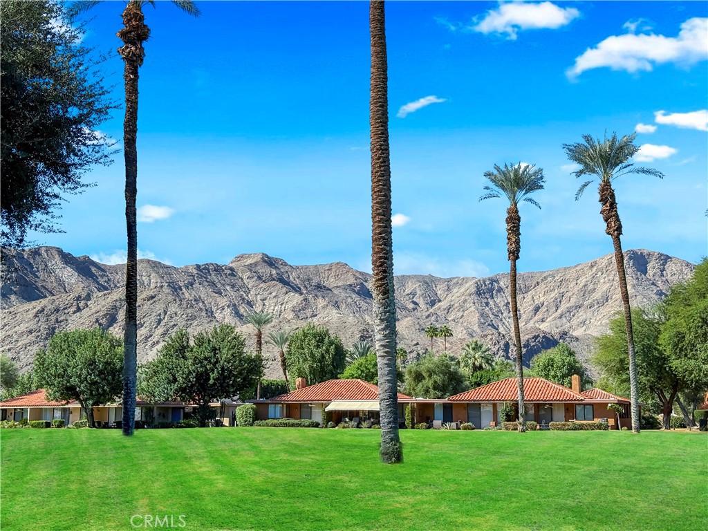 48 Palma Drive Rancho Mirage, CA 92270 - Photo 32 of 32 a front view of a garden with palm trees