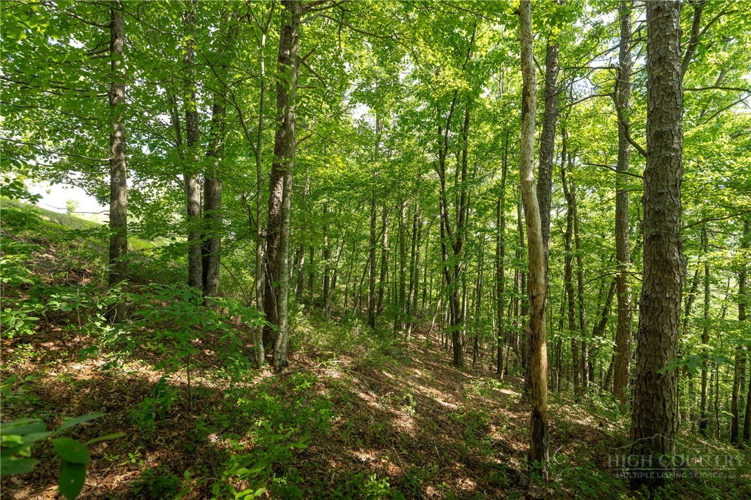 1303 Reynolds Parkway Boone, NC 28607 - Photo 11 of 50 Gallery Image 11