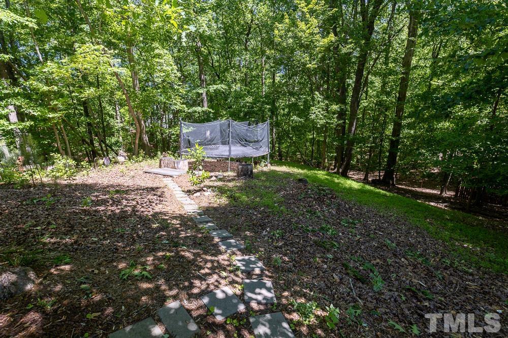 12625 Amoretto Way Raleigh, NC 27613 - Photo 38 of 42 a garden view with a seating space