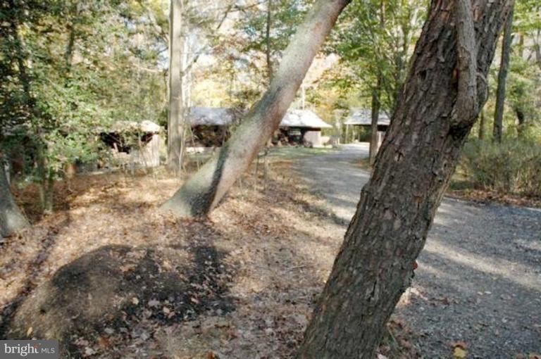15004 Reserve Road Accokeek, MD 20607 - Photo 11 of 16 Wooded View / Acreage