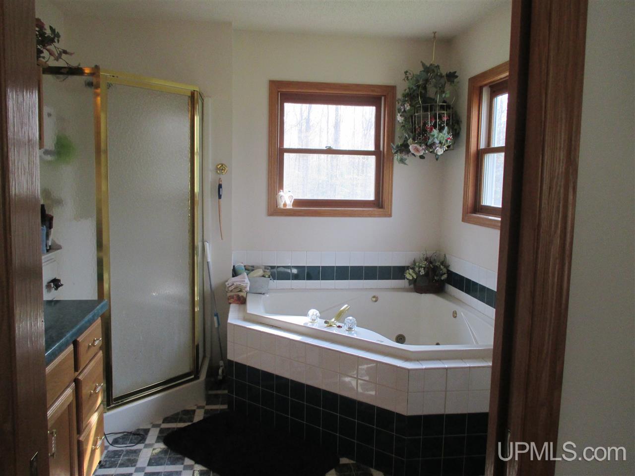 17078 North Co Road Powers, MI 49874 - Photo 3 of 28