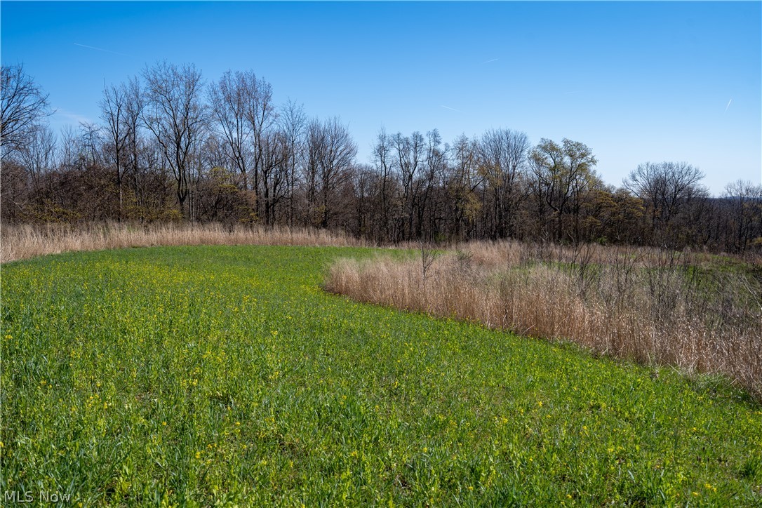 Sealover Hollow Rd Road Philo, OH 43771 - Photo 12 of 36
