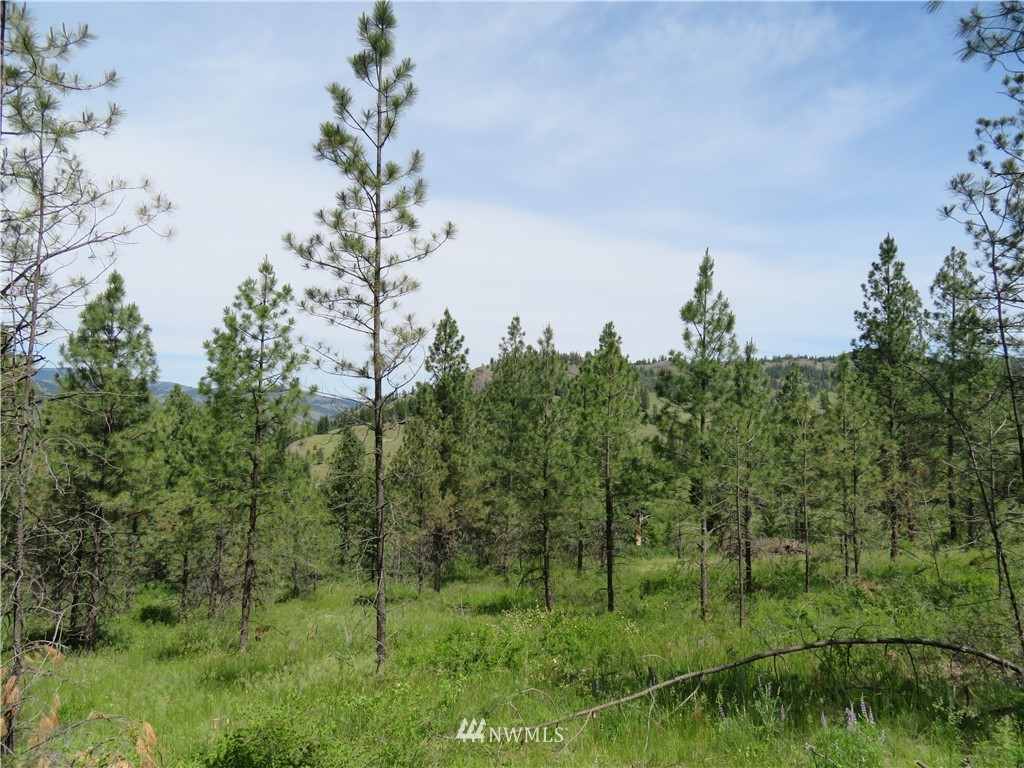 3 Boulder Creek Road Curlew, WA 99118 - Photo 1 of 22 Gallery Image 1