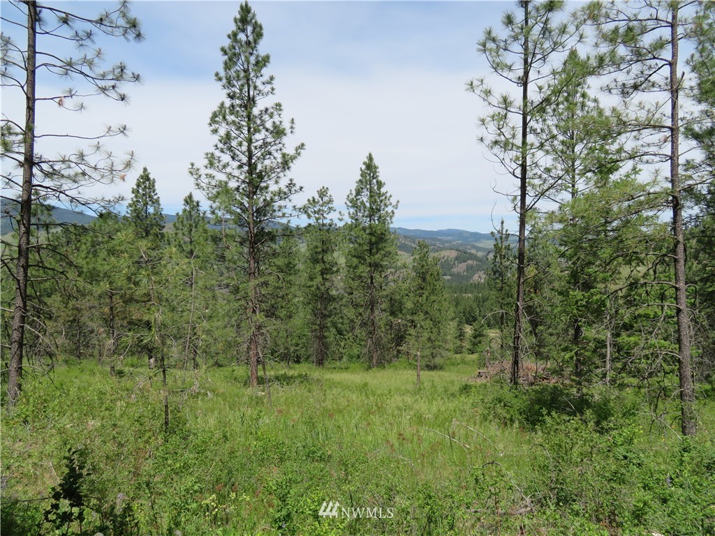 3 Boulder Creek Road Curlew, WA 99118 - Photo 2 of 22 Gallery Image 2