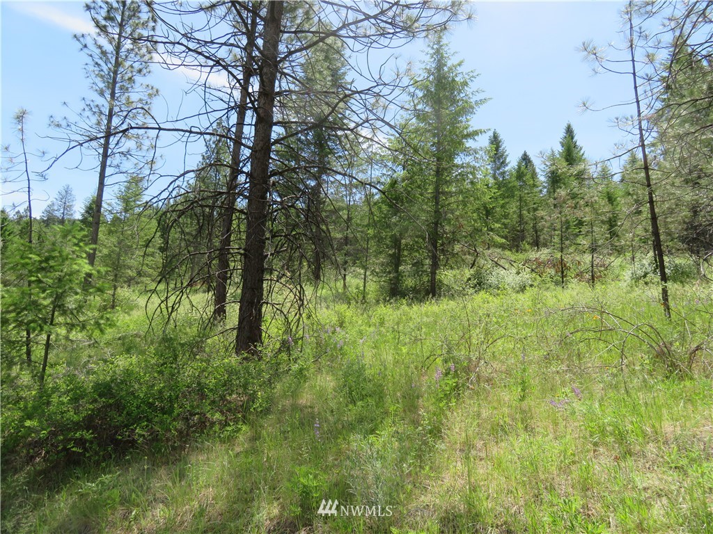 3 Boulder Creek Road Curlew, WA 99118 - Photo 11 of 22 Gallery Image 11