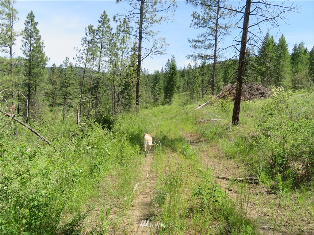 3 Boulder Creek Road Curlew, WA 99118 - Photo 12 of 22 Gallery Image 12