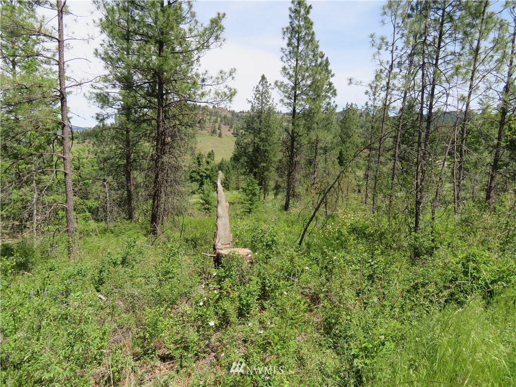 3 Boulder Creek Road Curlew, WA 99118 - Photo 13 of 22 Gallery Image 13