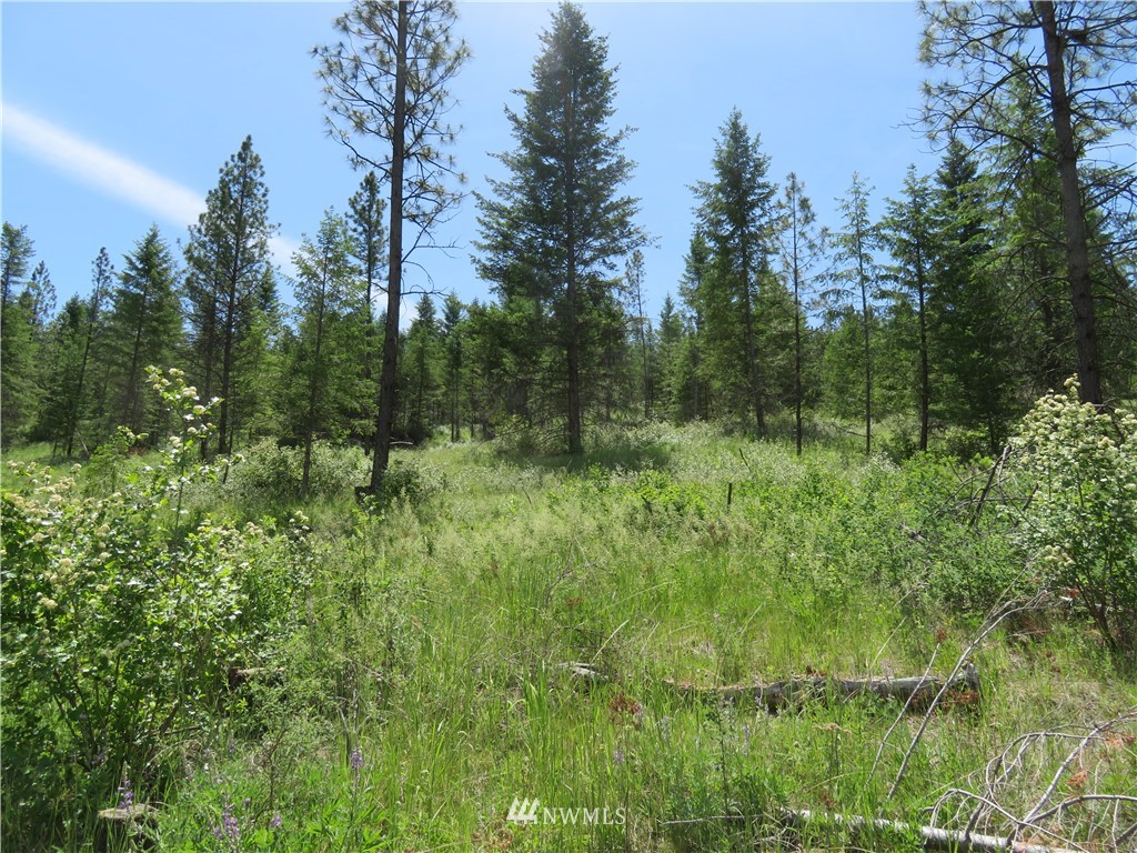 3 Boulder Creek Road Curlew, WA 99118 - Photo 14 of 22 Gallery Image 14