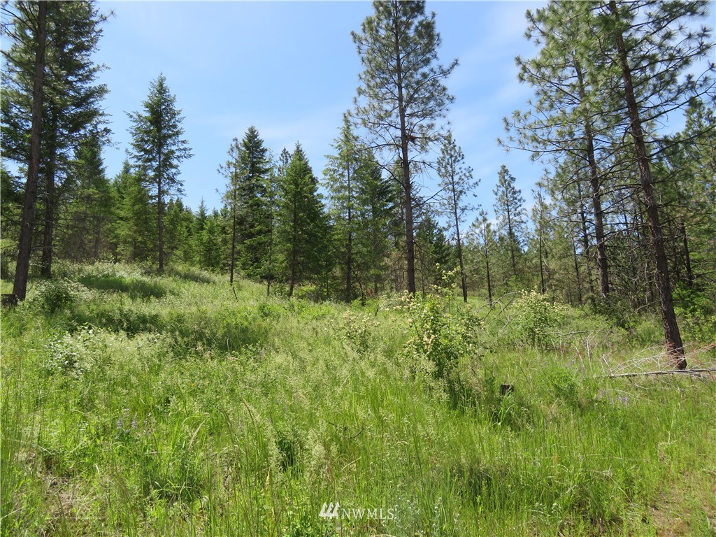 3 Boulder Creek Road Curlew, WA 99118 - Photo 15 of 22 Gallery Image 15