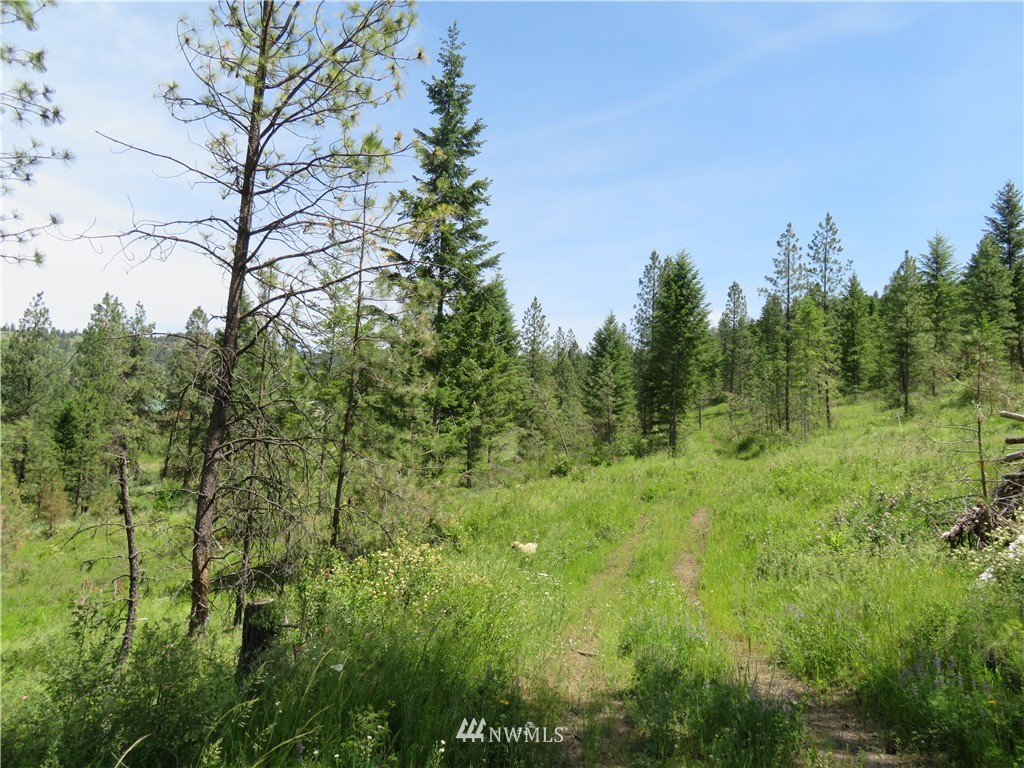 3 Boulder Creek Road Curlew, WA 99118 - Photo 17 of 22 Gallery Image 17