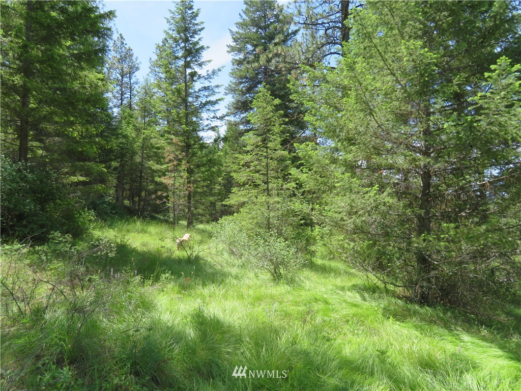3 Boulder Creek Road Curlew, WA 99118 - Photo 18 of 22 Gallery Image 18