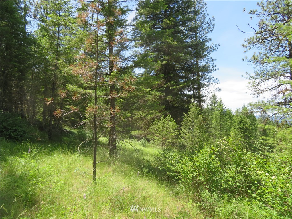 3 Boulder Creek Road Curlew, WA 99118 - Photo 19 of 22 Gallery Image 19