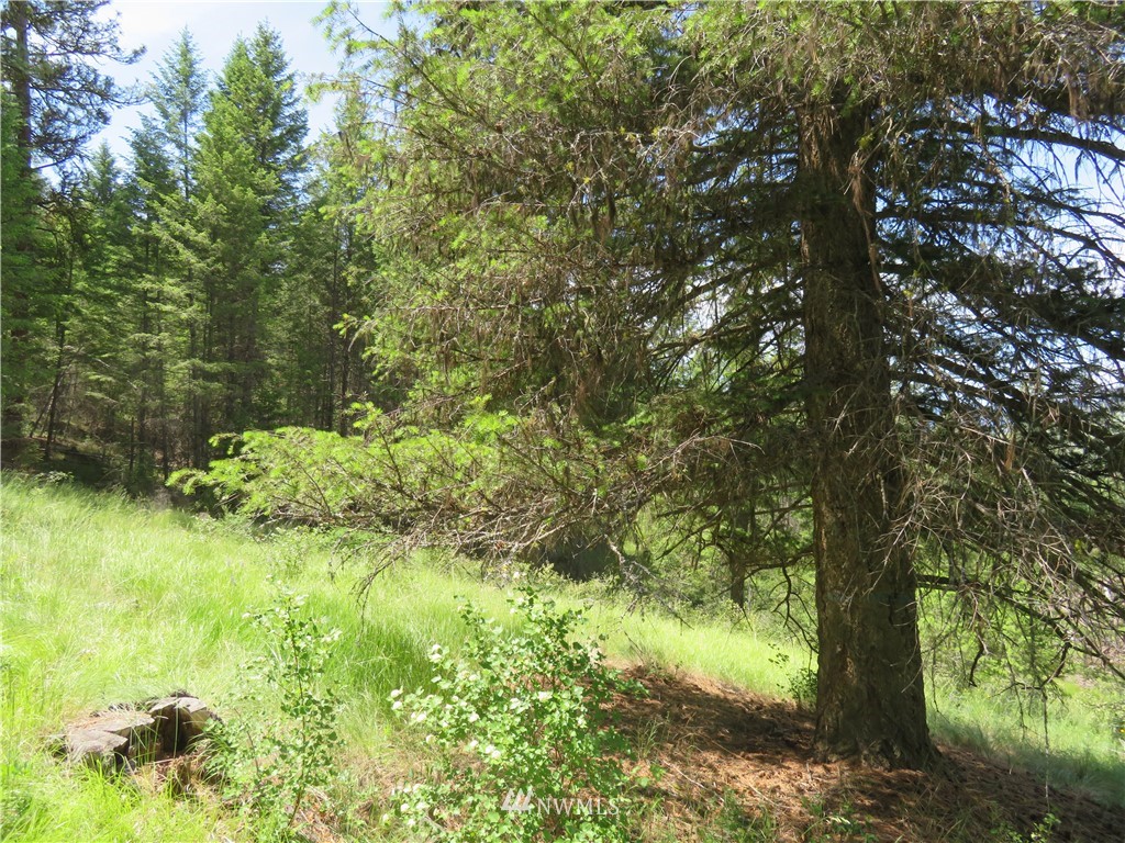 3 Boulder Creek Road Curlew, WA 99118 - Photo 20 of 22 Gallery Image 20