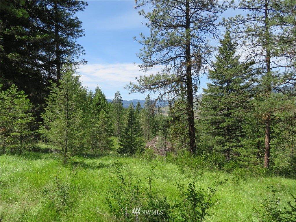 3 Boulder Creek Road Curlew, WA 99118 - Photo 3 of 22 Gallery Image 3