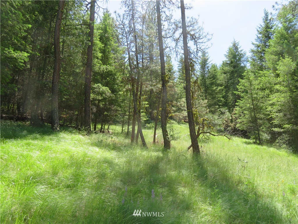3 Boulder Creek Road Curlew, WA 99118 - Photo 21 of 22 Gallery Image 21