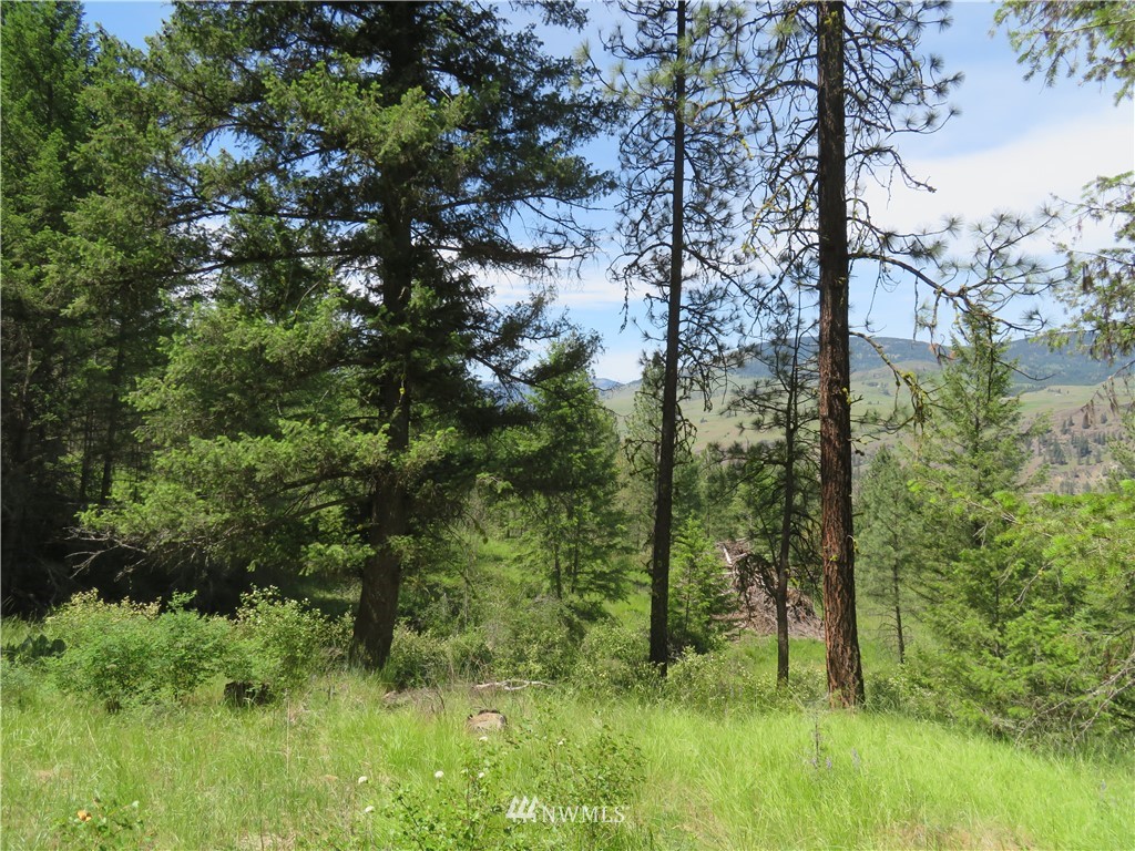 3 Boulder Creek Road Curlew, WA 99118 - Photo 22 of 22 Gallery Image 22