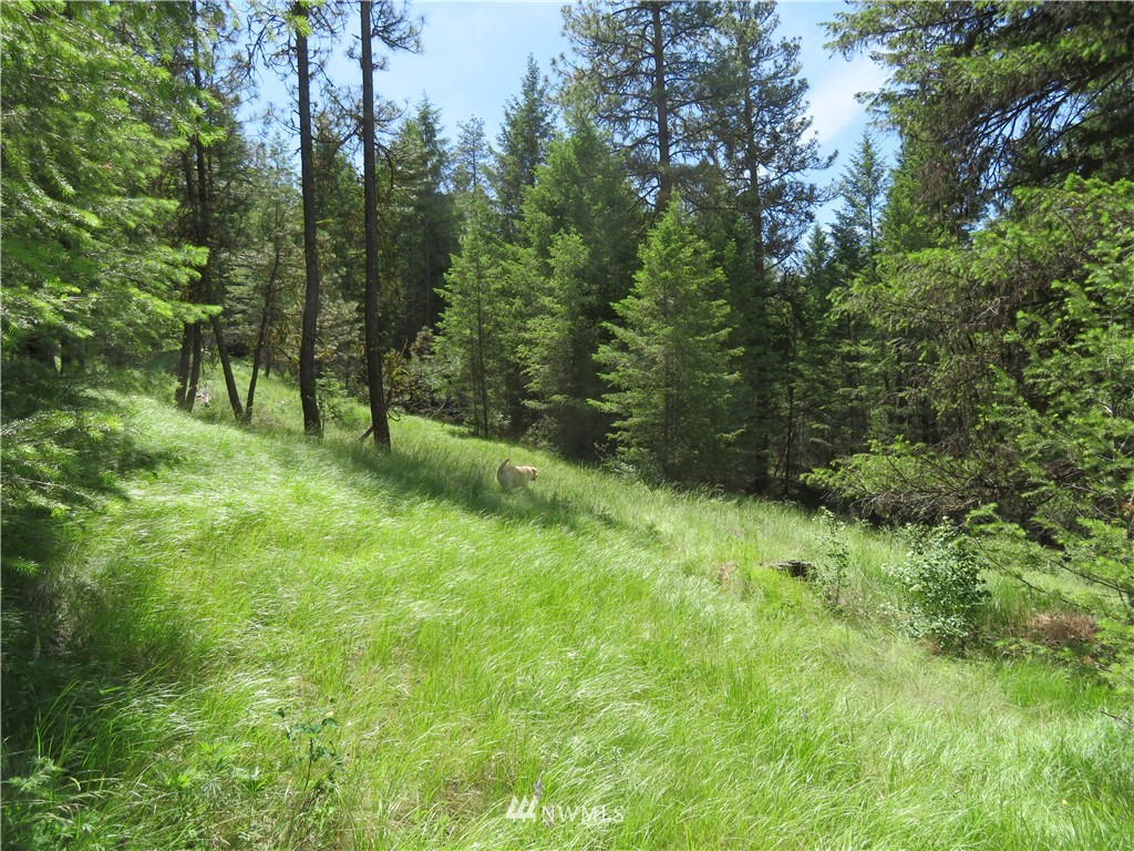 3 Boulder Creek Road Curlew, WA 99118 - Photo 4 of 22 Gallery Image 4
