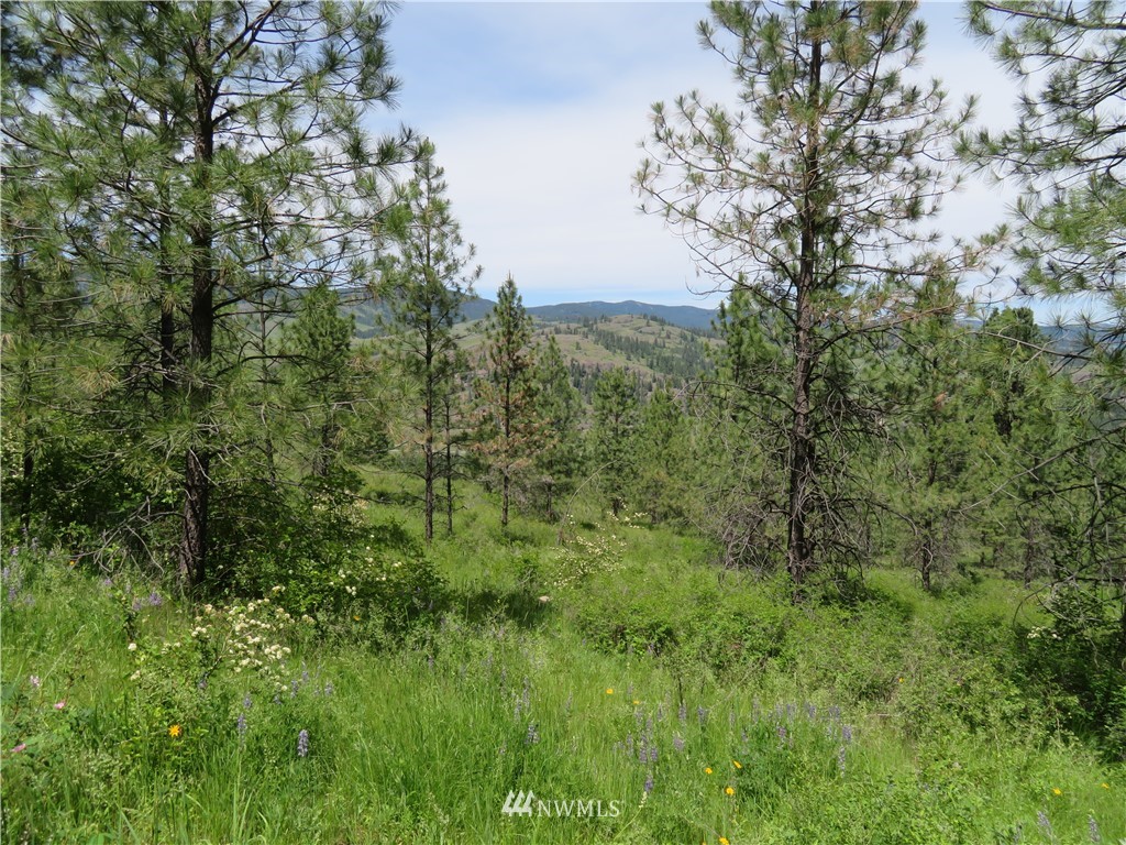 3 Boulder Creek Road Curlew, WA 99118 - Photo 6 of 22 Gallery Image 6