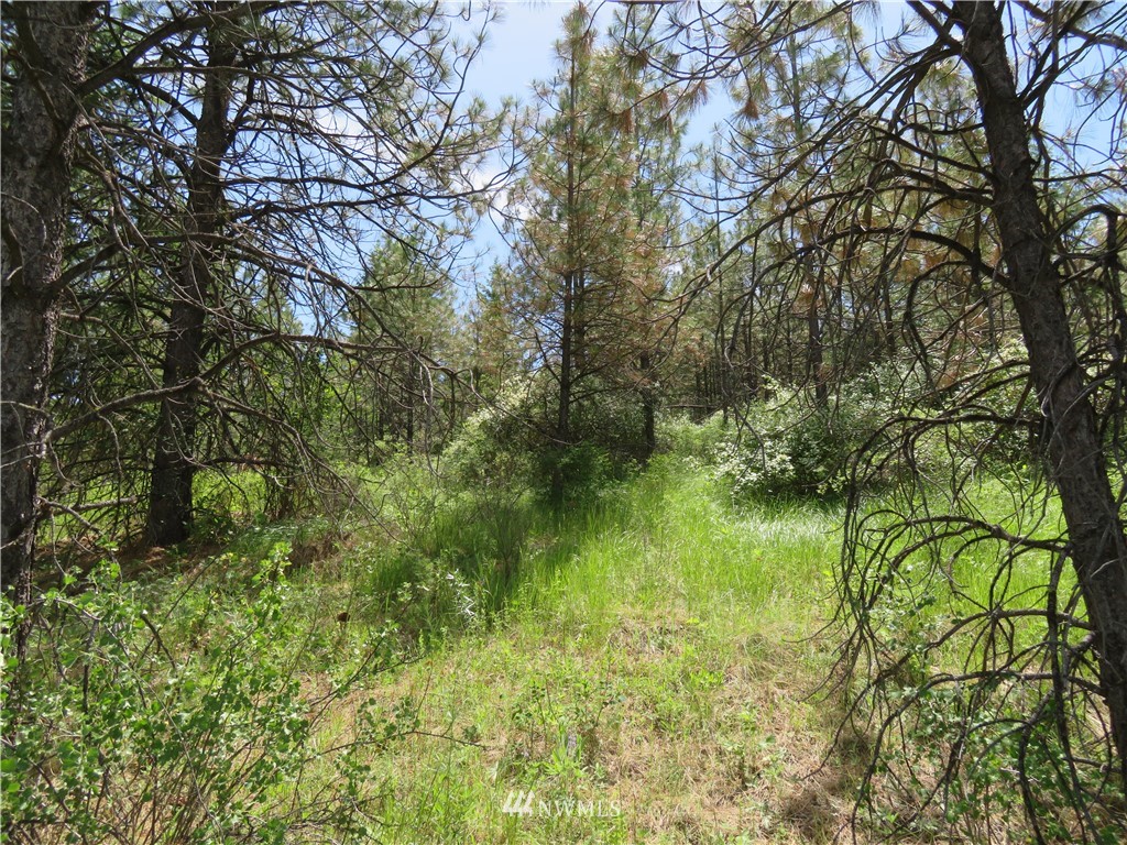 3 Boulder Creek Road Curlew, WA 99118 - Photo 7 of 22 Gallery Image 7