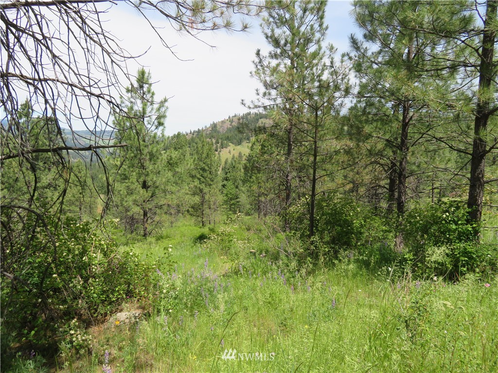 3 Boulder Creek Road Curlew, WA 99118 - Photo 9 of 22 Gallery Image 9