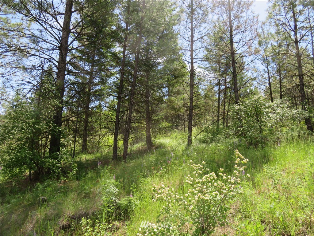 3 Boulder Creek Road Curlew, WA 99118 - Photo 10 of 22 Gallery Image 10