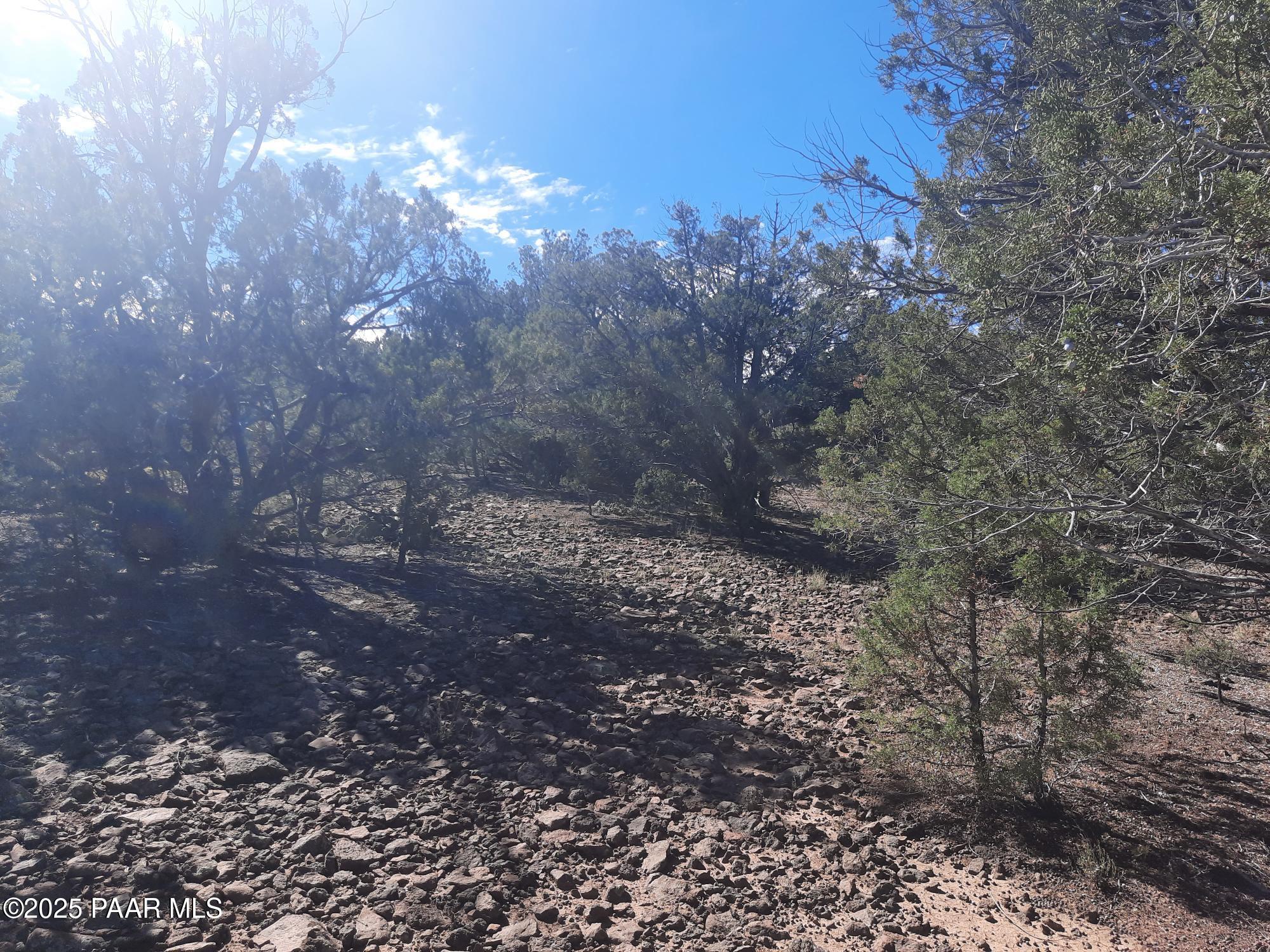 Lot 602 North A N Edge Ridge Road Seligman, AZ 86337 - Photo 3 of 11 a view of a yard