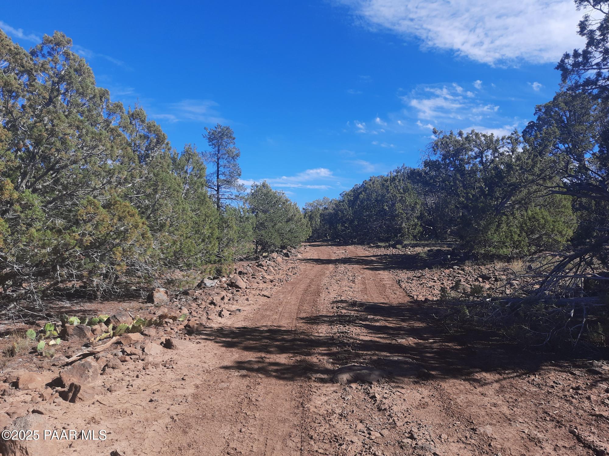 Lot 602 North A N Edge Ridge Road Seligman, AZ 86337 - Photo 9 of 11 a view of a yard with a tree