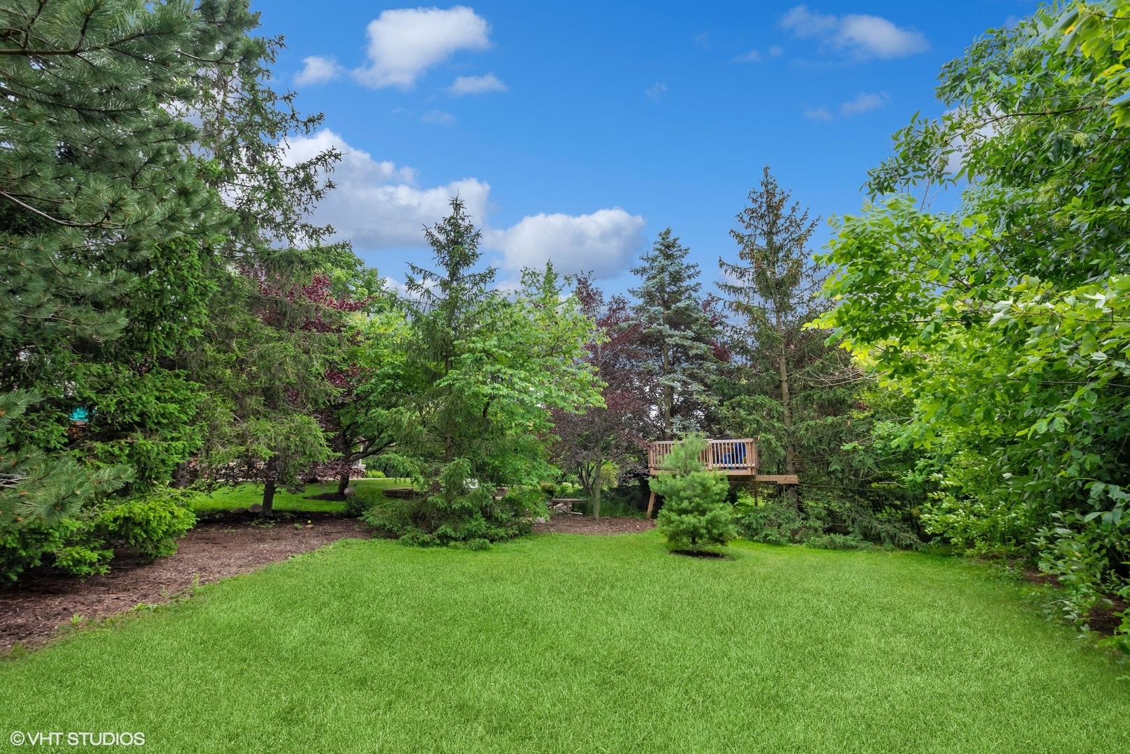 2420 Dorina Drive Northfield, IL 60093 - Photo 43 of 51 a view of a garden with plants and large trees