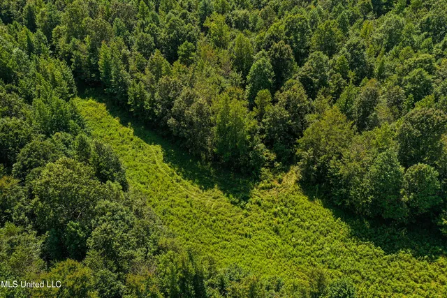 $355,000 | 2295 Chapman Road, Falkner, MS 38629