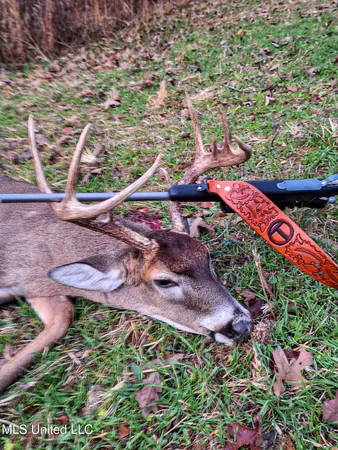 $355,000 | 2295 Chapman Road, Falkner, MS 38629