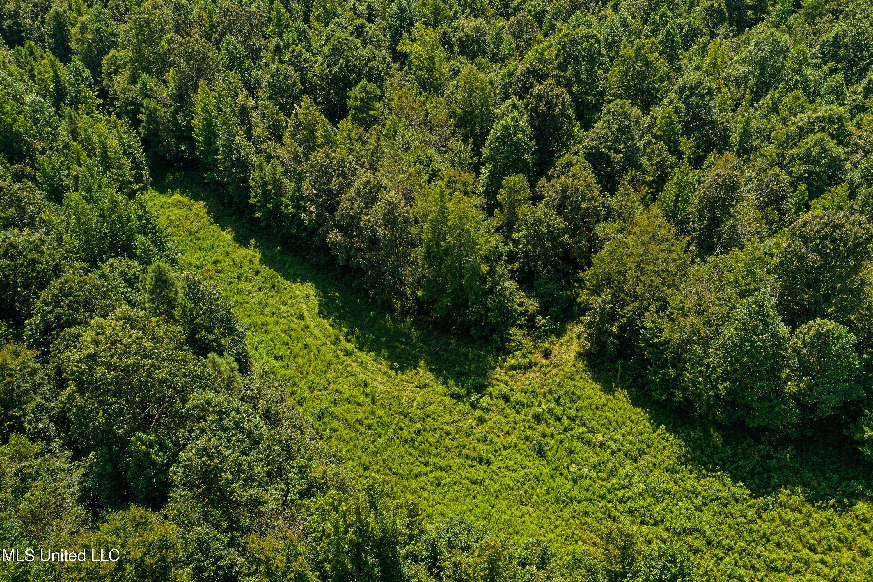 2295 Chapman Road Falkner, MS 38629 - Photo 12 of 48 DJI_0407