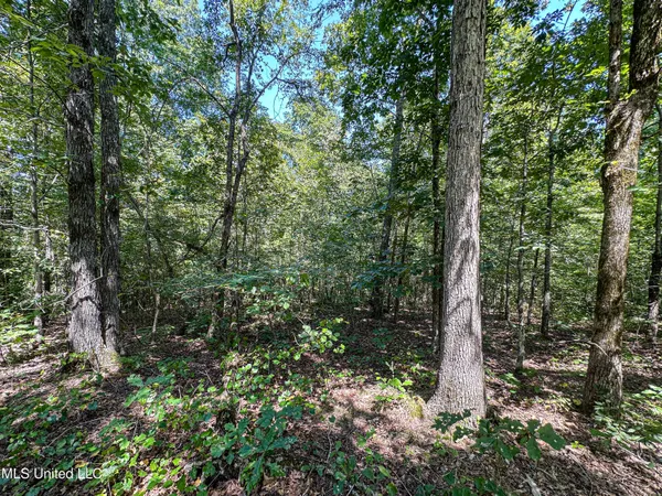 $355,000 | 2295 Chapman Road, Falkner, MS 38629