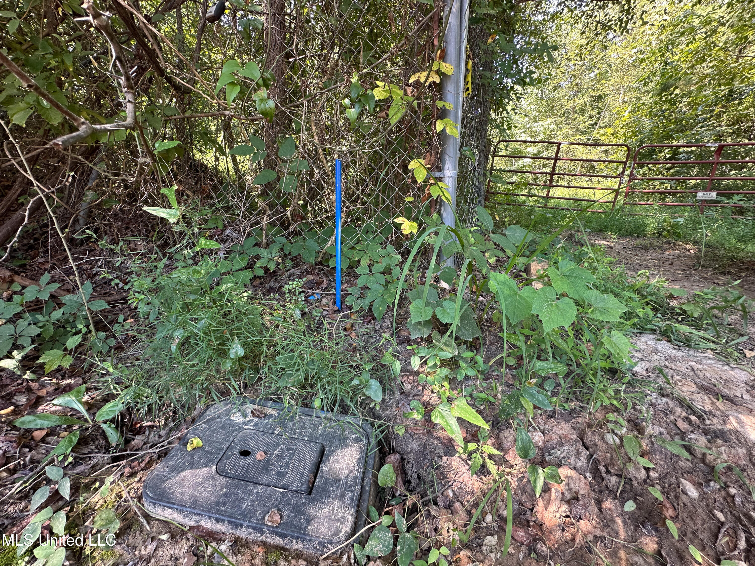 2295 Chapman Road Falkner, MS 38629 - Photo 15 of 48 IMG_5698