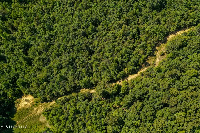 $355,000 | 2295 Chapman Road, Falkner, MS 38629