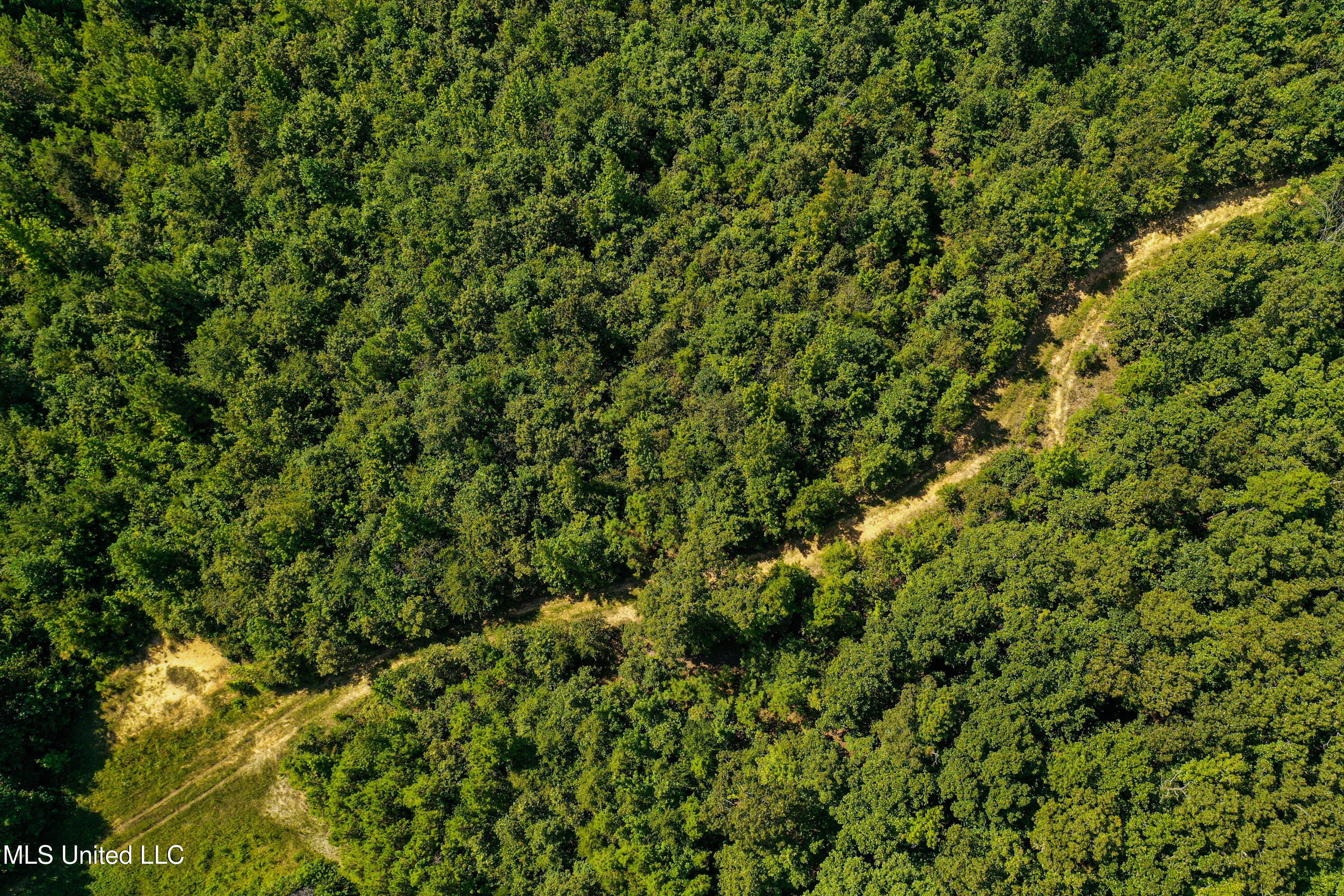 2295 Chapman Road Falkner, MS 38629 - Photo 16 of 48 DJI_0422-2