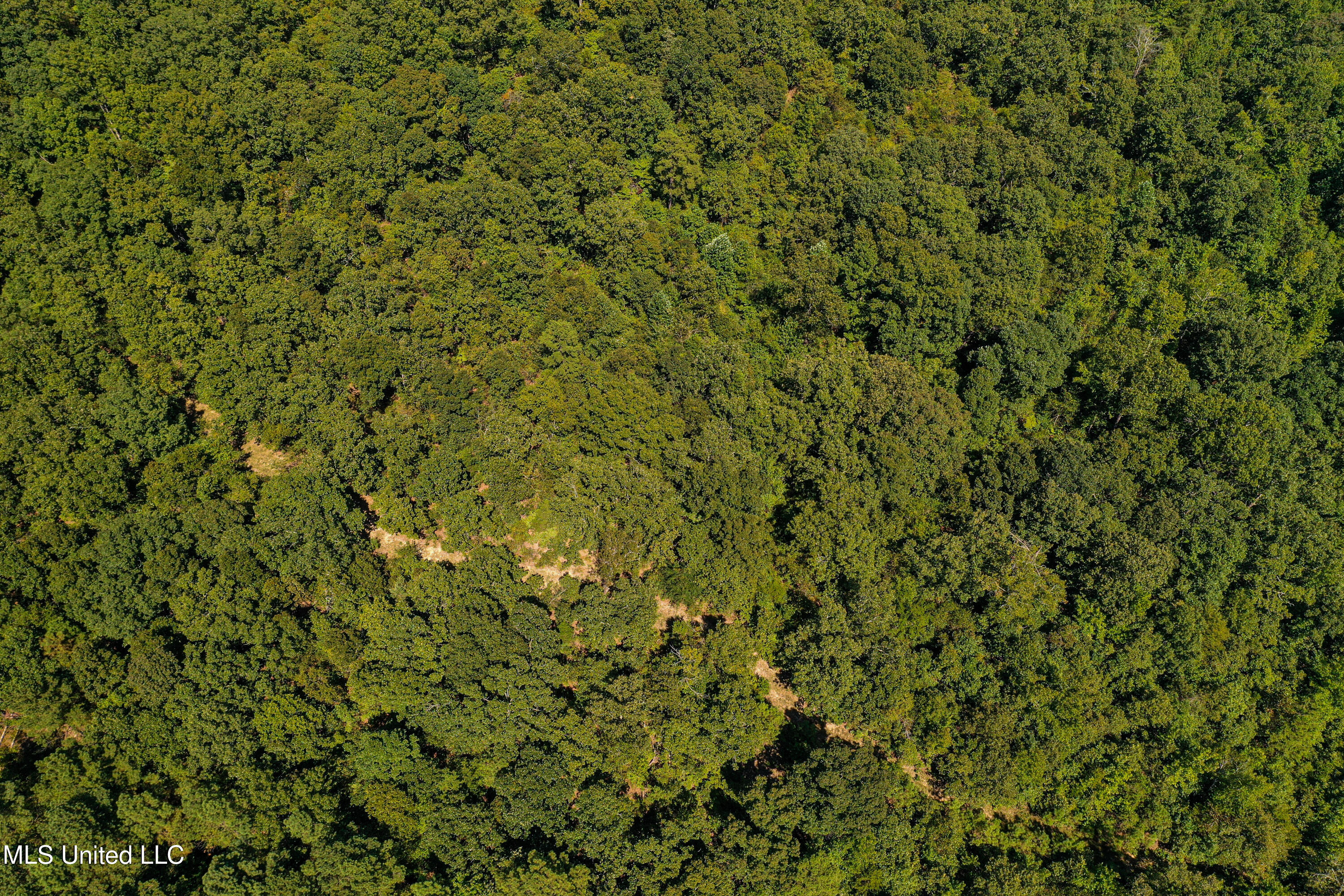 2295 Chapman Road Falkner, MS 38629 - Photo 17 of 48 DJI_0411