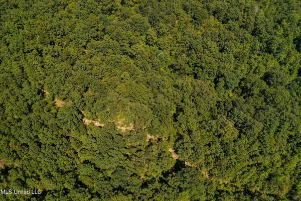 $355,000 | 2295 Chapman Road, Falkner, MS 38629